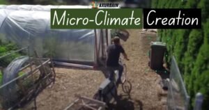The Importance of Micro-Climate Creation for Urban Living