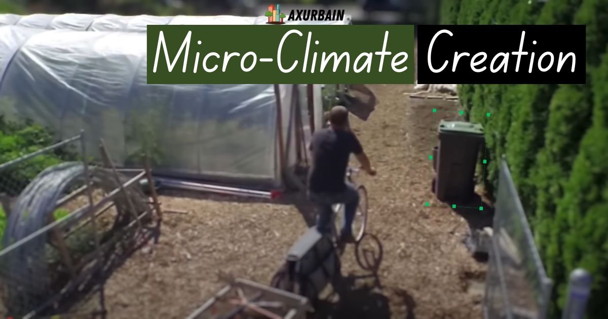 The Importance of Micro-Climate Creation for Urban Living