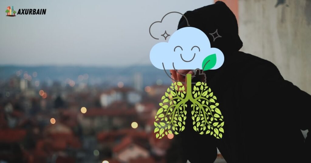 Better Air Quality by micro climate 