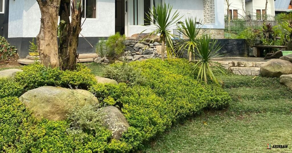 Rock Gardens / Build a Rock Garden