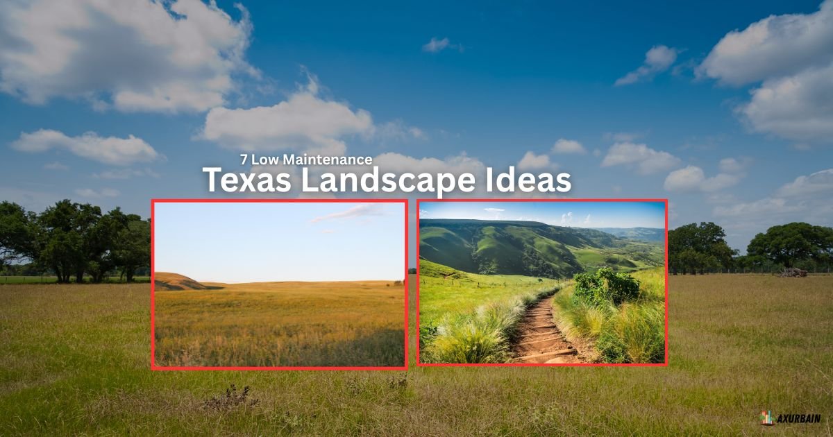 7 Low Maintenance Texas Landscape Ideas